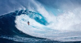 Hawaii - Surfen auf großen Wellen