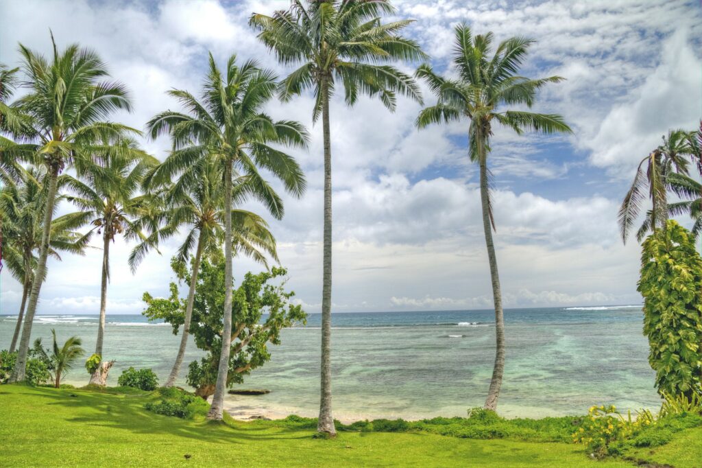 Palmenstrand Samoa