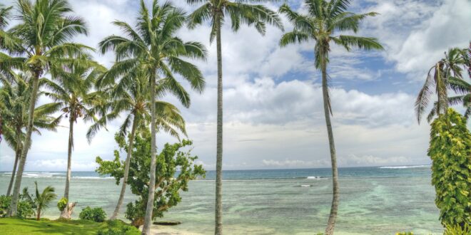 Palmenstrand Samoa