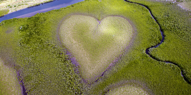 Blick auf das Herz von Voh in den Mangroven