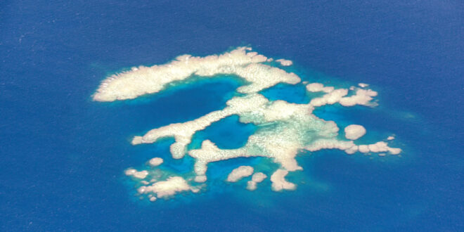 TOP-Tauch- und Schnorchelgebiet am Great Astrolabe Reef Kadavu-Inseln, Fidschi